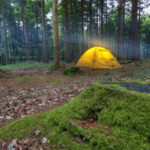 Tente jaune dans une aire de bivouac au cœur d'une forêt en Wallonie