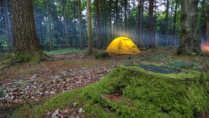 Tente jaune dans une aire de bivouac au cœur d'une forêt en Wallonie